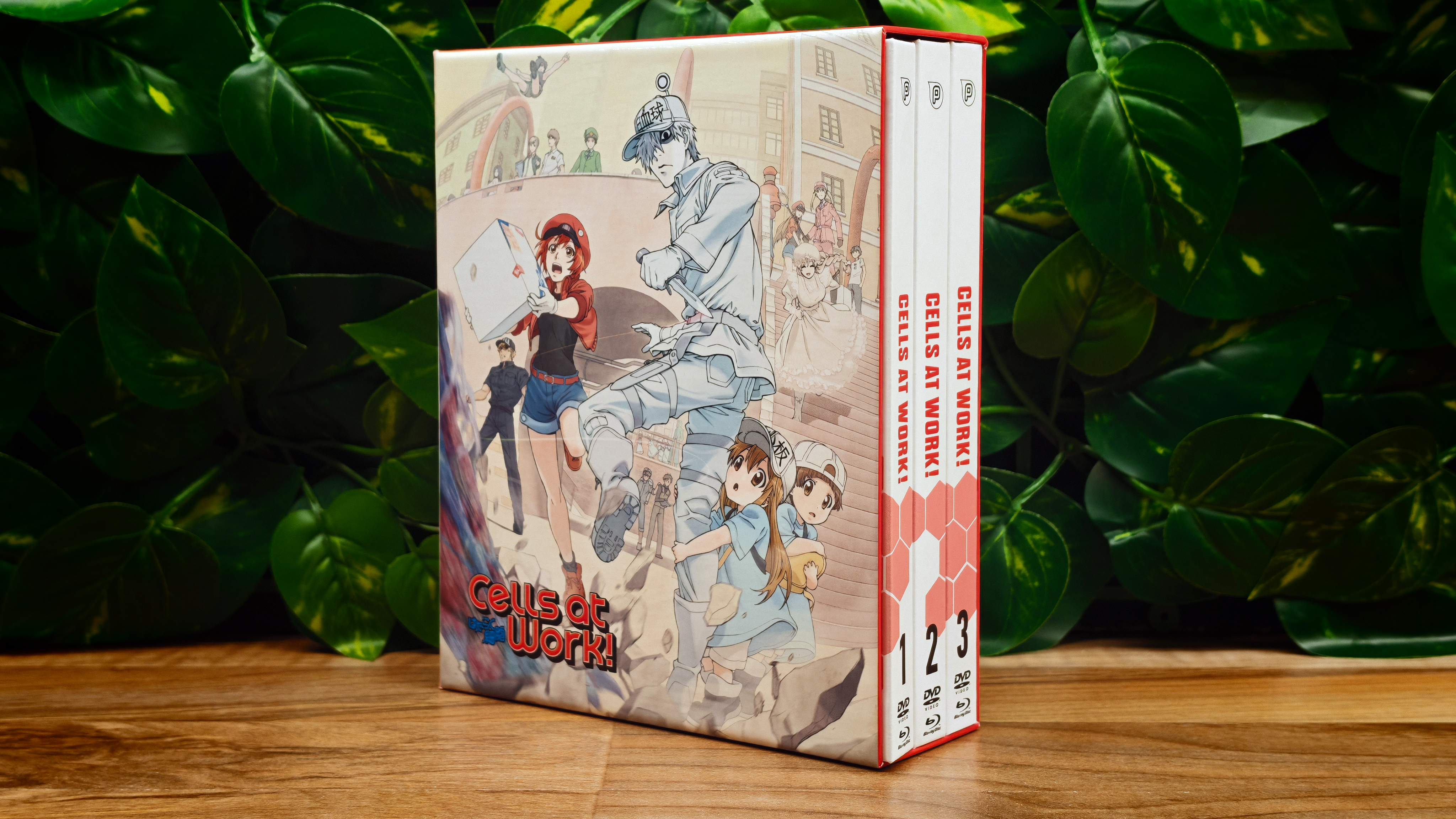 Cells at Work! im Anime Bereich